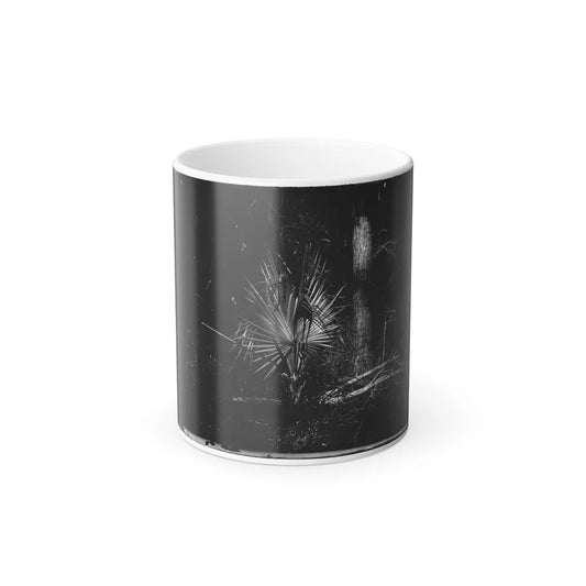 Morris Island, South Carolina 002 (U.S. Civil War) Color Changing Coffee Mug 11oz-11oz-Go Mug Yourself