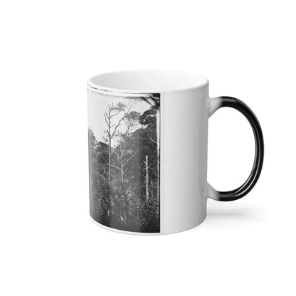 Morris Island, South Carolina (U.S. Civil War) Color Changing Coffee Mug 11oz - Go Mug Yourself