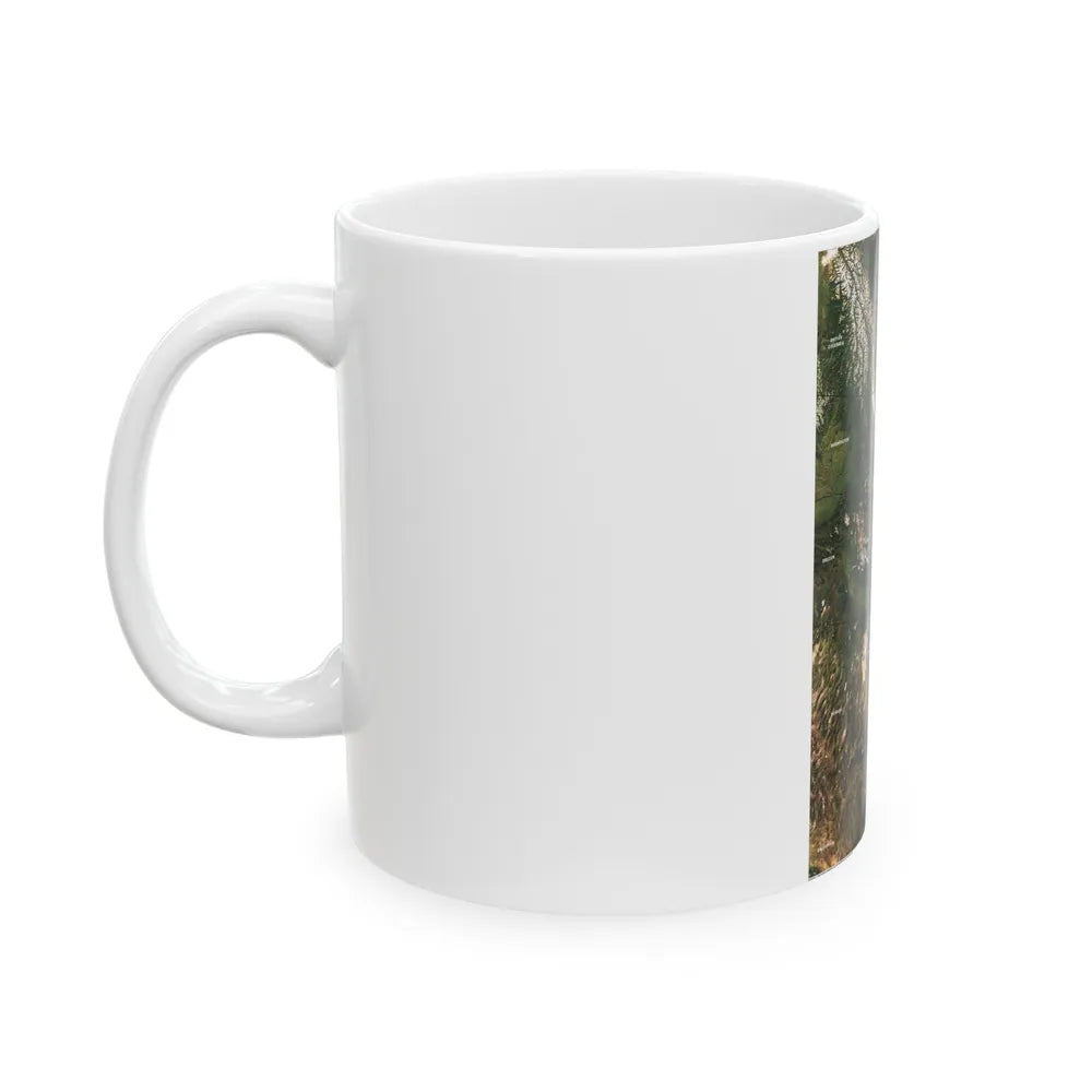 North America - Above the Rockies Through Digital Eyes (1995) (Map) White Coffee Mug-Go Mug Yourself