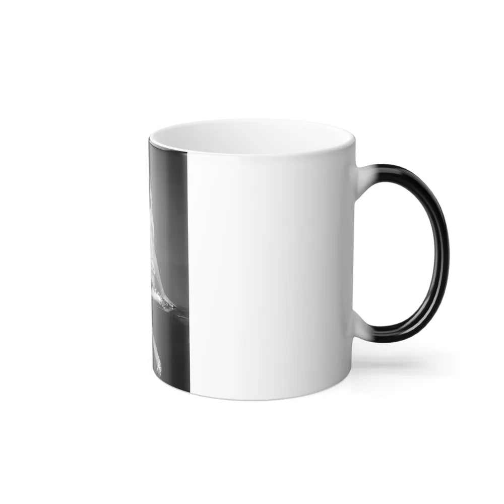 Pam Grier #23 (Vintage Female Icons) Color Changing Mug 11oz-Go Mug Yourself