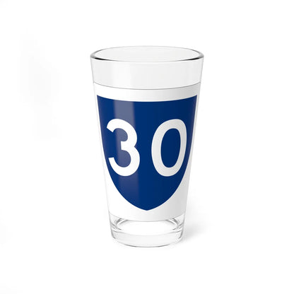 PR primary 30 (Puerto Rico) (Road Sign) Pint Glass 16oz 16oz - Go Mug Yourself
