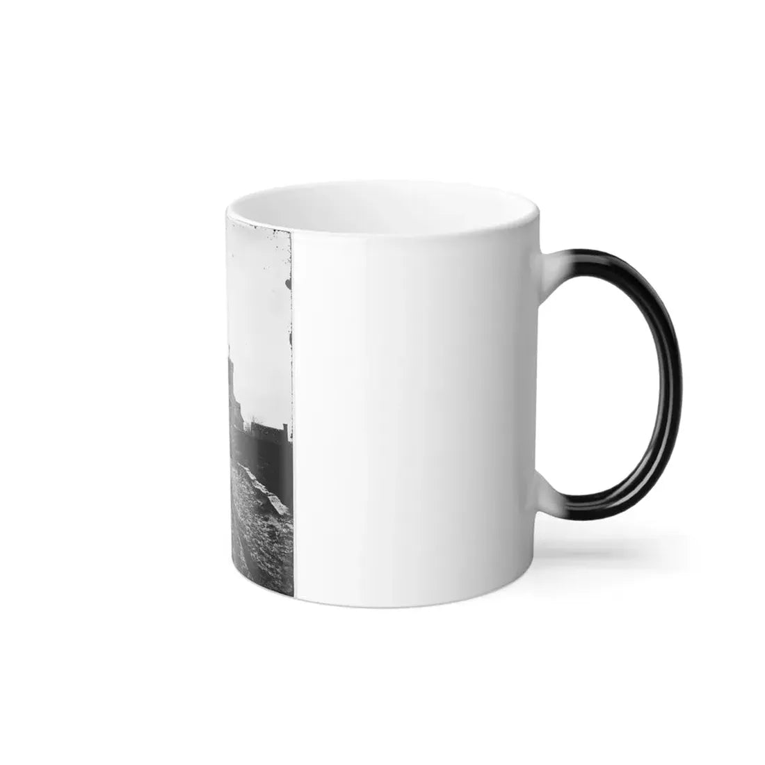 Saint Augustine, Fla. Entrance Gate, With Street and Houses Beyond (U.S. Civil War) Color Changing Coffee Mug 11oz - Go Mug Yourself