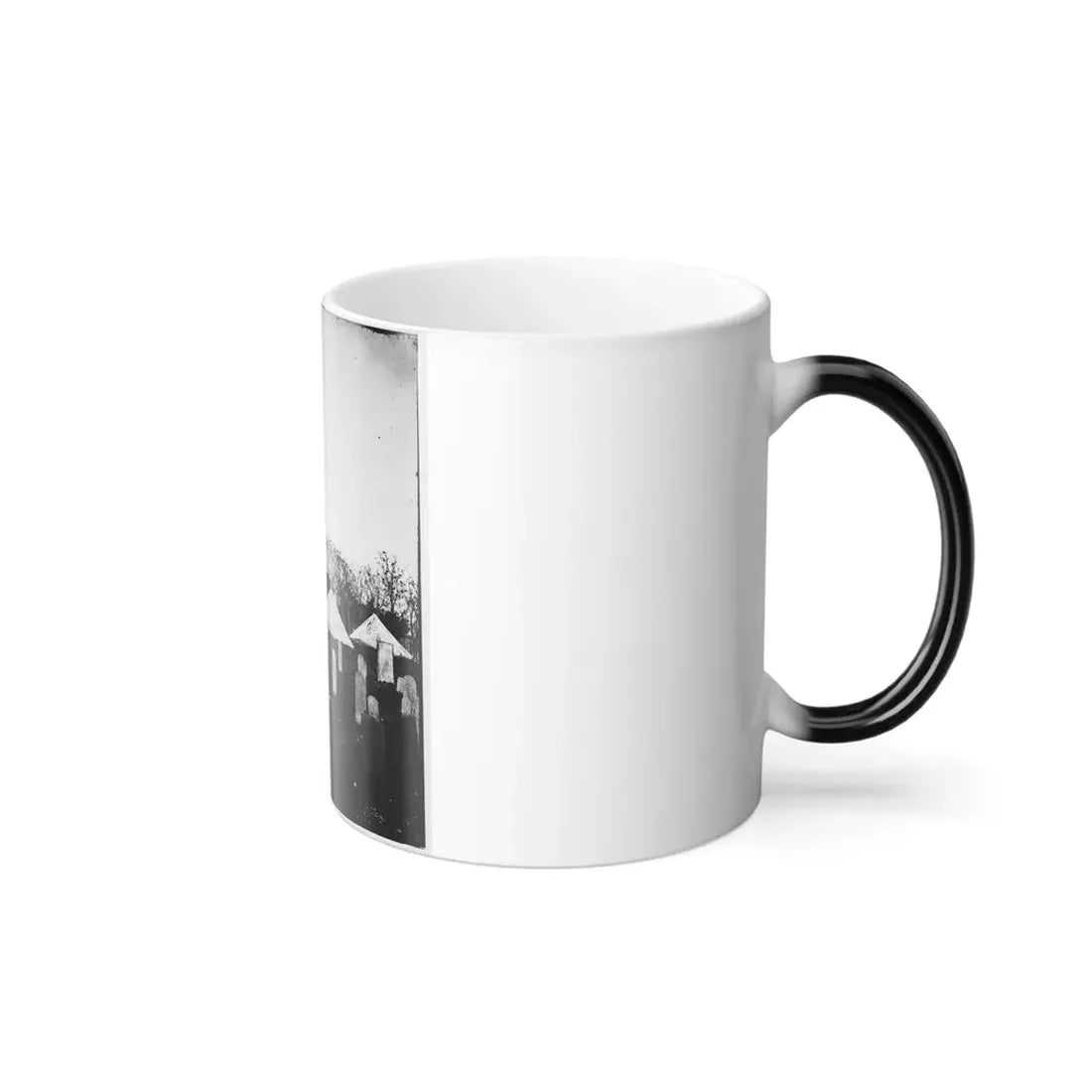 Saint Augustine National Cemetery (U.S. Civil War) Color Changing Coffee Mug 11oz - Go Mug Yourself