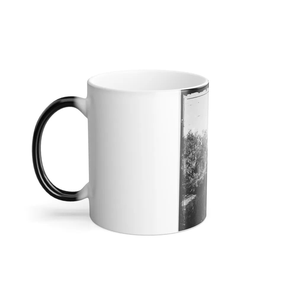 Savannah, Georgia. Bridge Over Stream (U.S. Civil War) Color Changing Coffee Mug 11oz-Go Mug Yourself