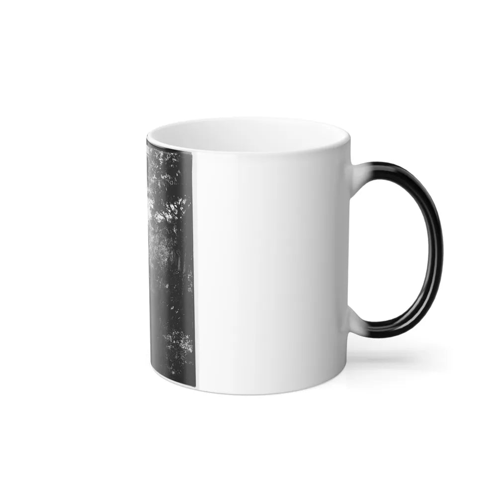 Savannah, Georgia. Bridge Over Stream (U.S. Civil War) Color Changing Coffee Mug 11oz-Go Mug Yourself