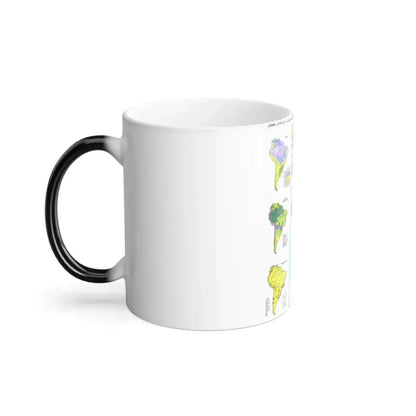 South America - Physical Map (1972) (Map) Color Changing Mug 11oz - Go Mug Yourself