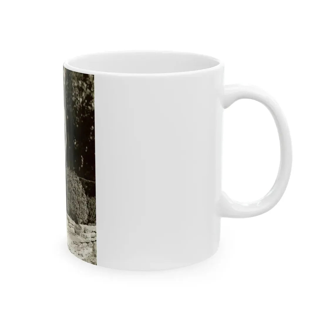 Terry Moore #233 (Vintage Female Icon) White Coffee Mug - Go Mug Yourself