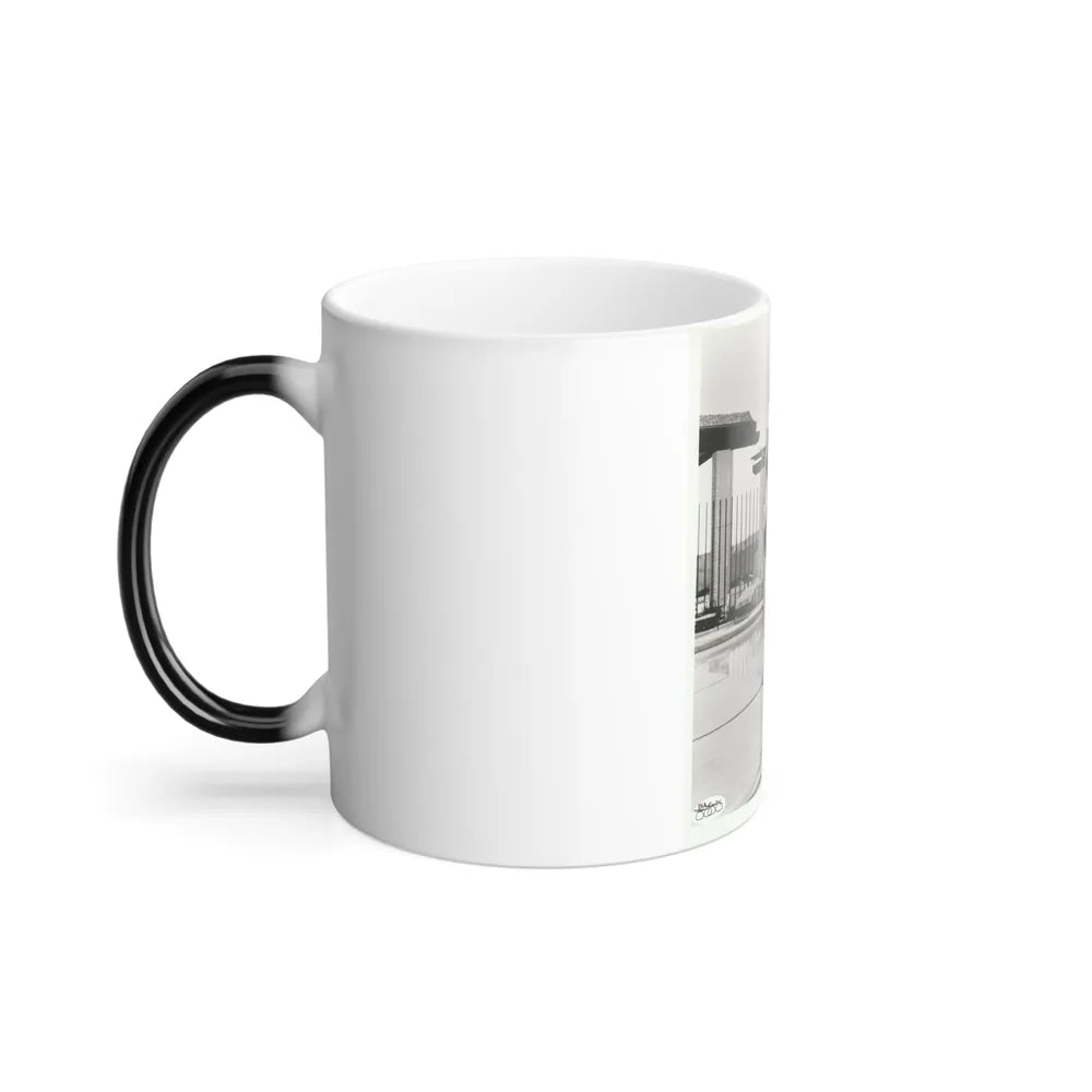Terry Moore #307 (Vintage Female Icons) Color Changing Mug 11oz-Go Mug Yourself
