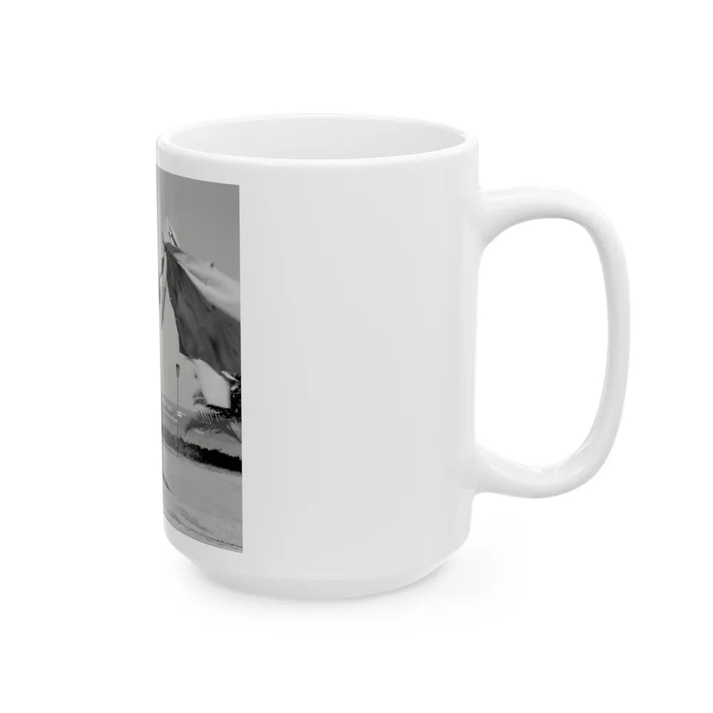 Terry Moore #308 (Vintage Female Icon) White Coffee Mug-Go Mug Yourself