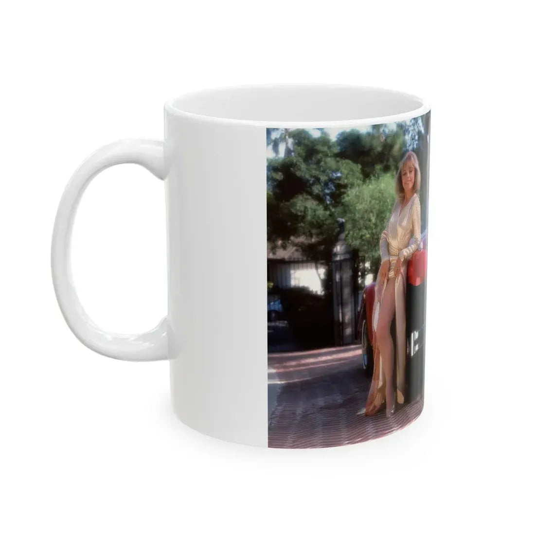 Terry Moore #418 - Unreleased Aug. '84 Playboy Photo from shoot non nude (Vintage Female Icon) White Coffee Mug - Go Mug Yourself