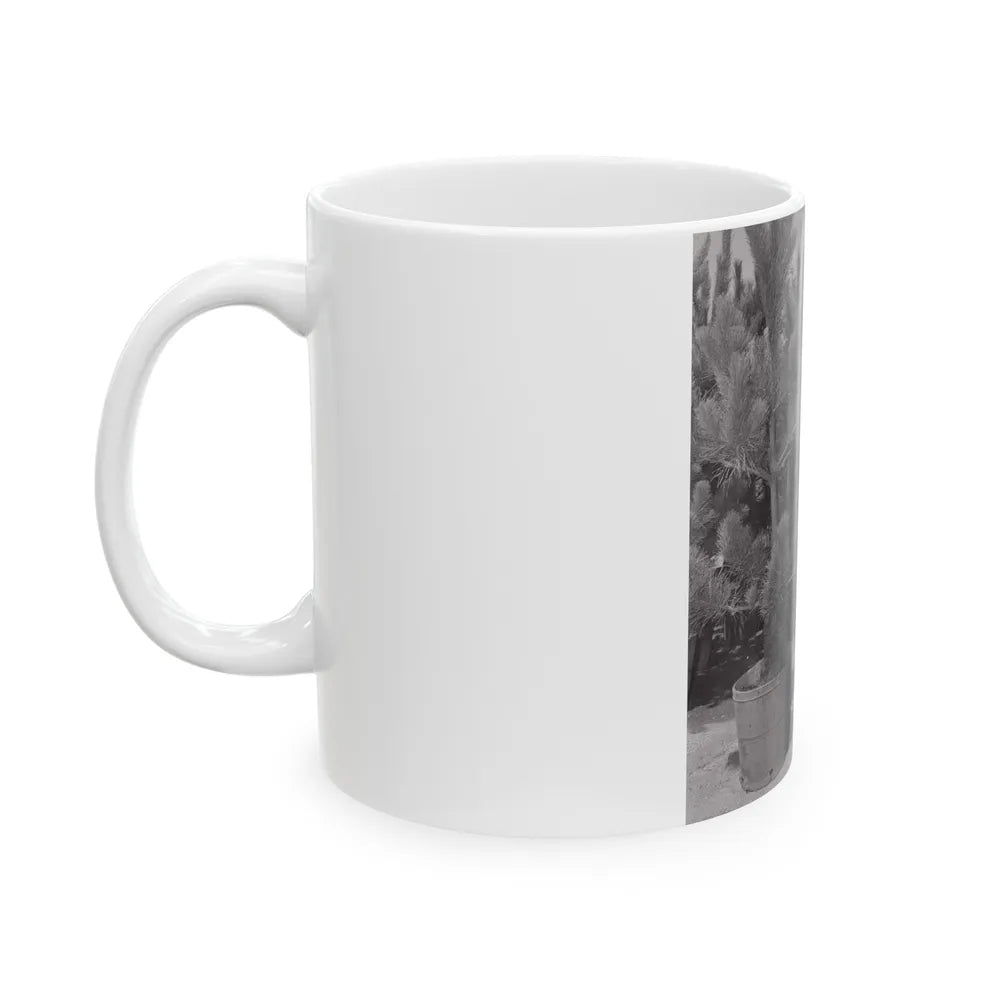 Terry Moore #676 (Vintage Female Icon) White Coffee Mug-Go Mug Yourself