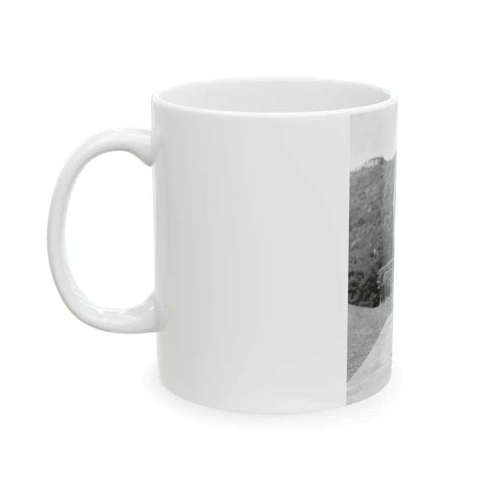 Terry Moore #739 (Vintage Female Icon) White Coffee Mug-Go Mug Yourself