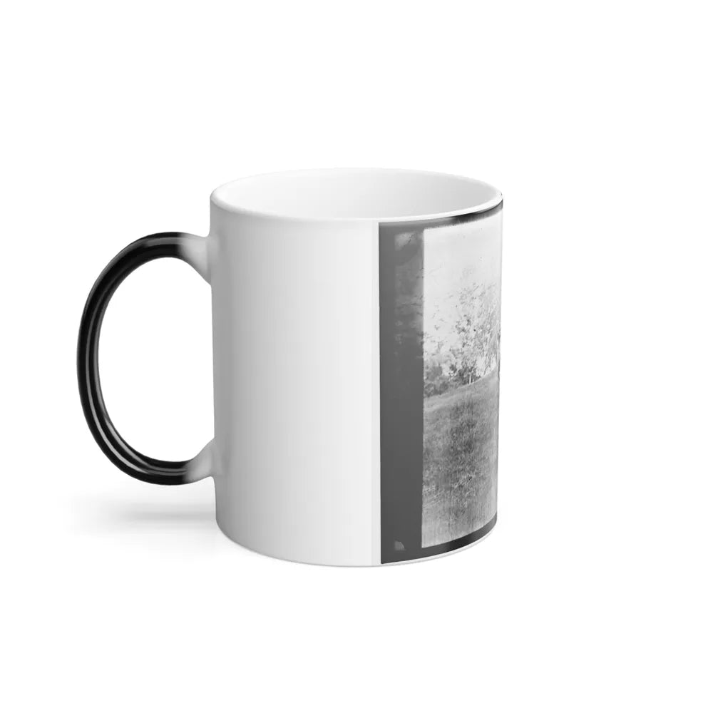 Untitled(11) (U.S. Civil War) Color Changing Coffee Mug 11oz-Go Mug Yourself