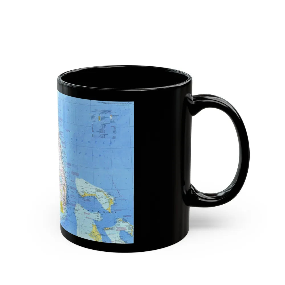 USA - Florida 1 (1973) (Map) Black Coffee Mug-Go Mug Yourself