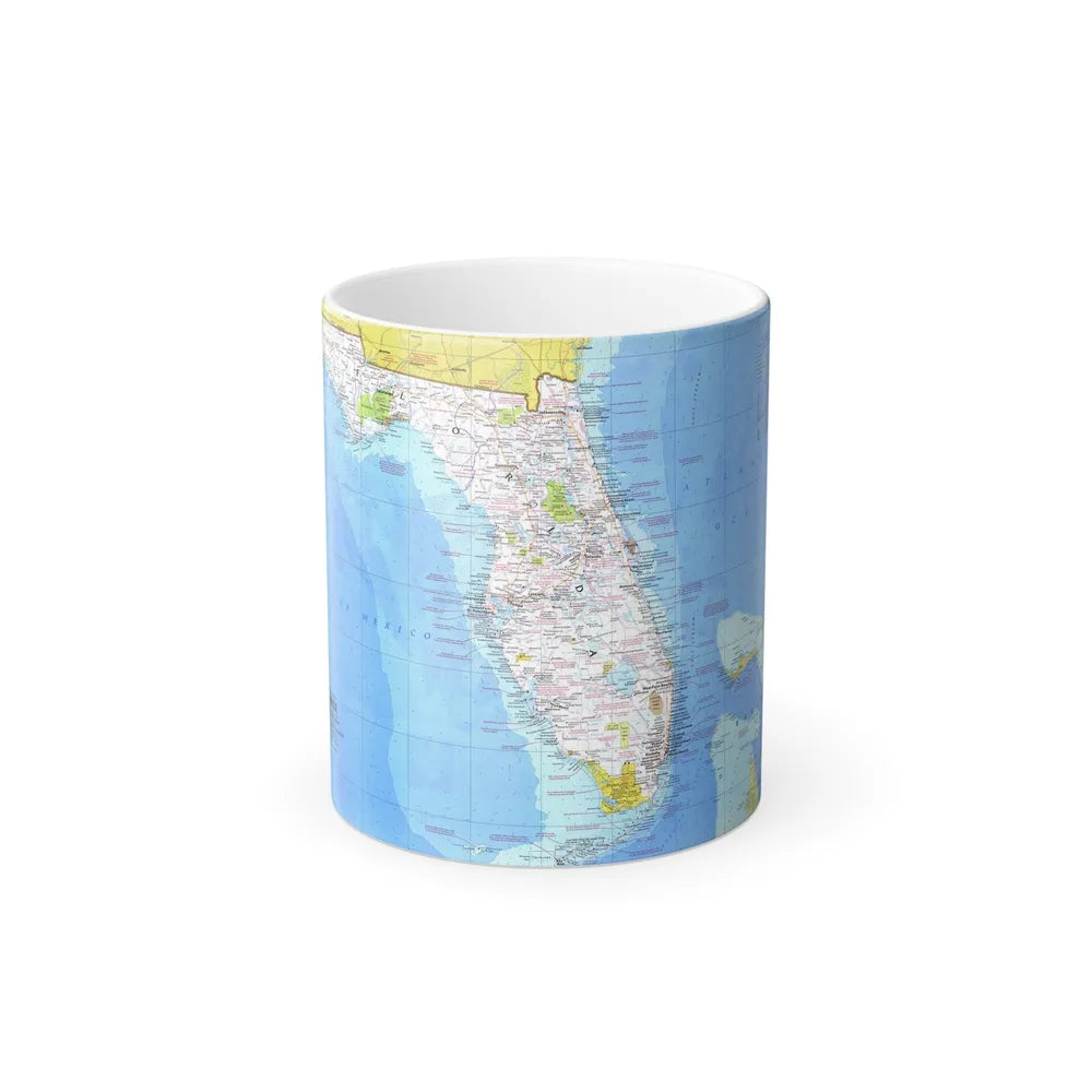 USA - Florida 1 (1973) (Map) Color Changing Mug 11oz-11oz-Go Mug Yourself