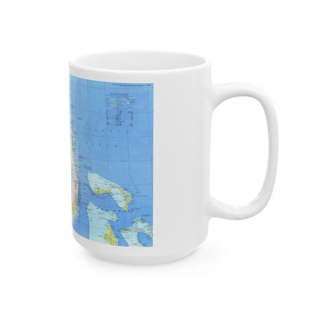 USA - Florida 1 (1973) (Map) White Coffee Mug - Go Mug Yourself
