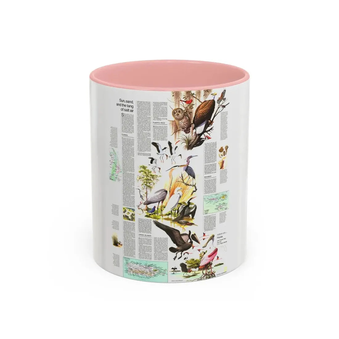 USA - Florida 2 (1973) (Map) Accent Coffee Mug 11oz Pink - Go Mug Yourself