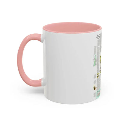 USA - Florida 2 (1973) (Map) Accent Coffee Mug - Go Mug Yourself