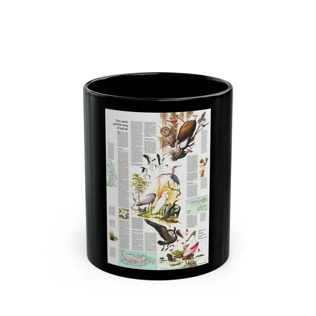USA - Florida 2 (1973) (Map) Black Coffee Mug 11oz - Go Mug Yourself