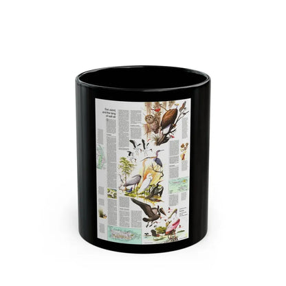 USA - Florida 2 (1973) (Map) Black Coffee Mug 11oz - Go Mug Yourself