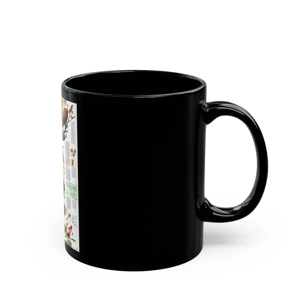 USA - Florida 2 (1973) (Map) Black Coffee Mug-Go Mug Yourself