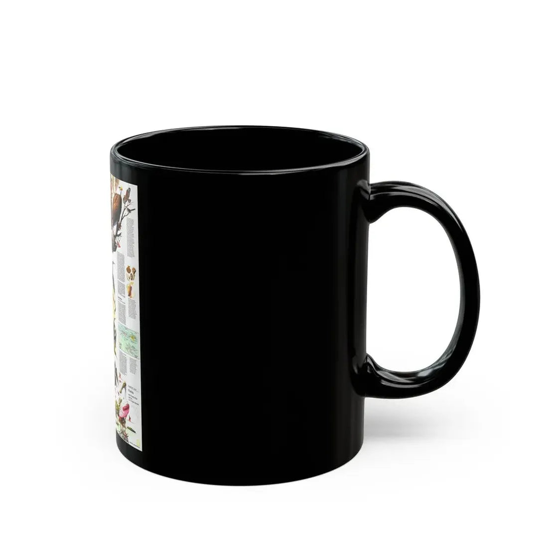 USA - Florida 2 (1973) (Map) Black Coffee Mug - Go Mug Yourself
