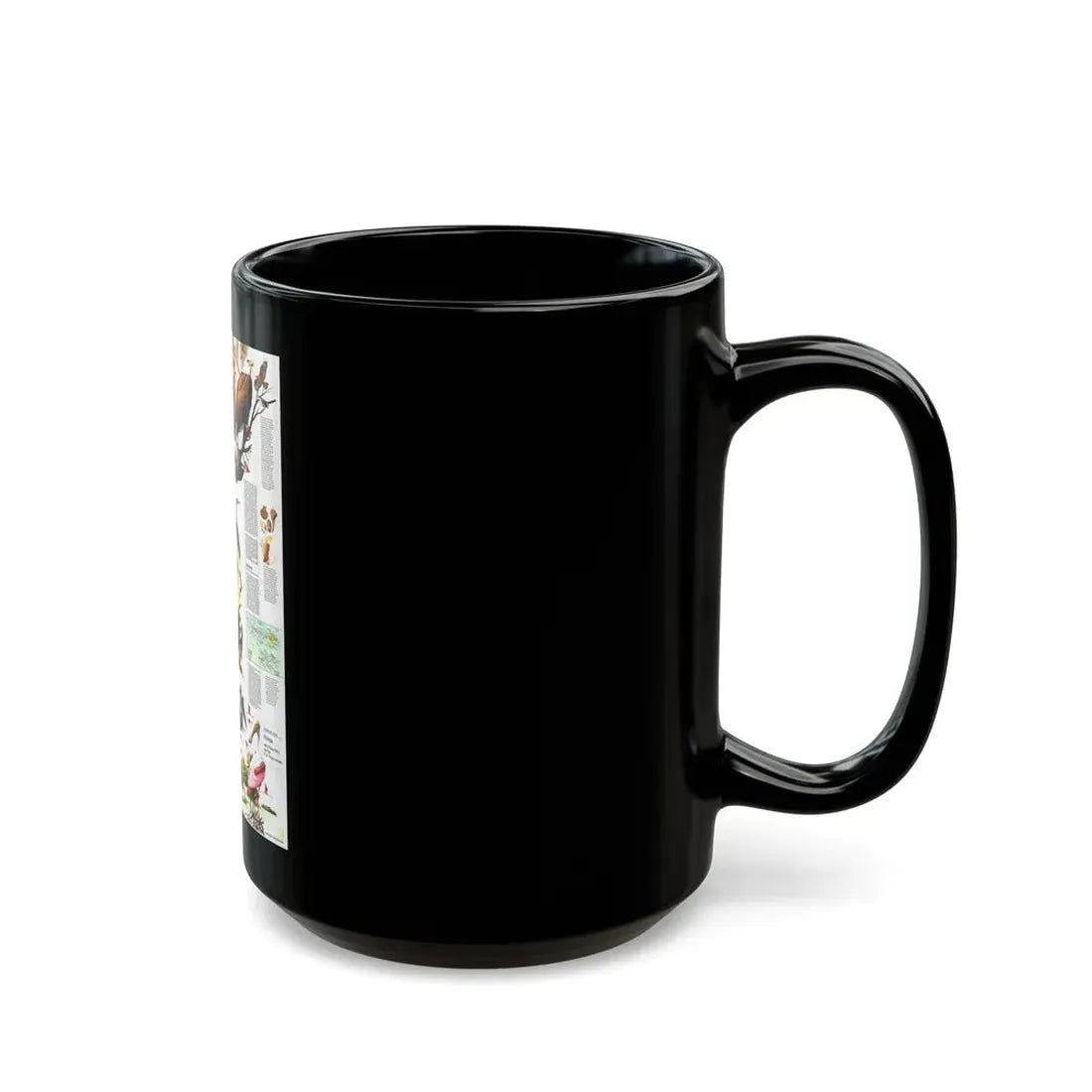 USA - Florida 2 (1973) (Map) Black Coffee Mug - Go Mug Yourself