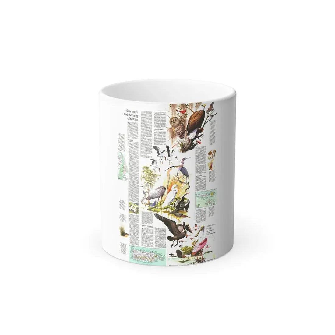 USA - Florida 2 (1973) (Map) Color Changing Mug 11oz Default Title 11oz - Go Mug Yourself