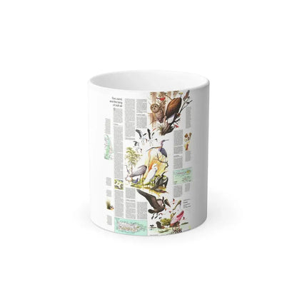 USA - Florida 2 (1973) (Map) Color Changing Mug 11oz Default Title 11oz - Go Mug Yourself