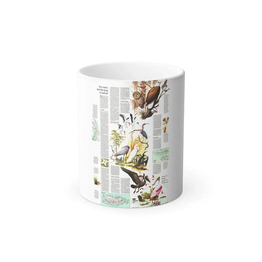 USA - Florida 2 (1973) (Map) Color Changing Mug 11oz Default Title 11oz - Go Mug Yourself