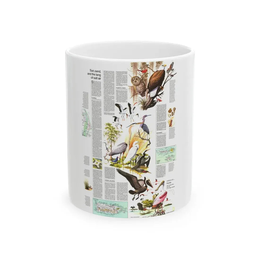 USA - Florida 2 (1973) (Map) White Coffee Mug 11oz - Go Mug Yourself