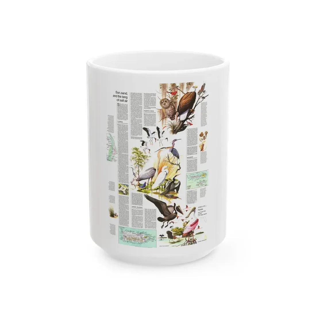 USA - Florida 2 (1973) (Map) White Coffee Mug 15oz - Go Mug Yourself