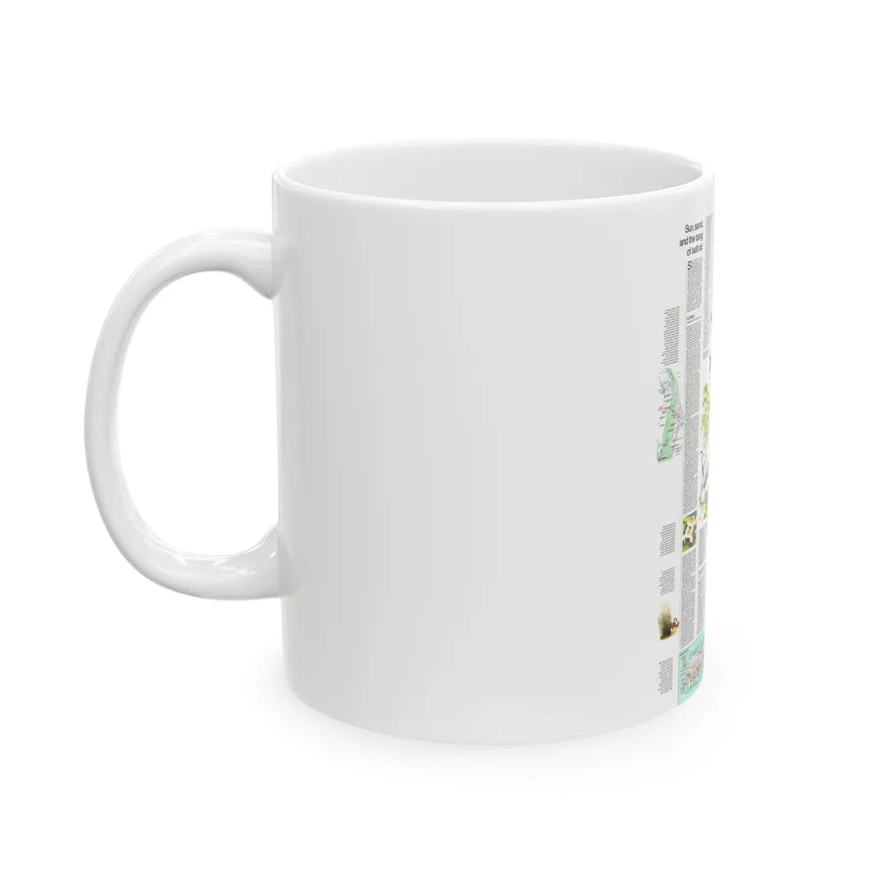 USA - Florida 2 (1973) (Map) White Coffee Mug-Go Mug Yourself