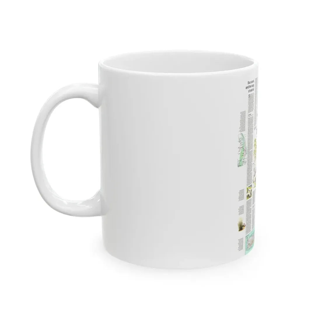 USA - Florida 2 (1973) (Map) White Coffee Mug - Go Mug Yourself