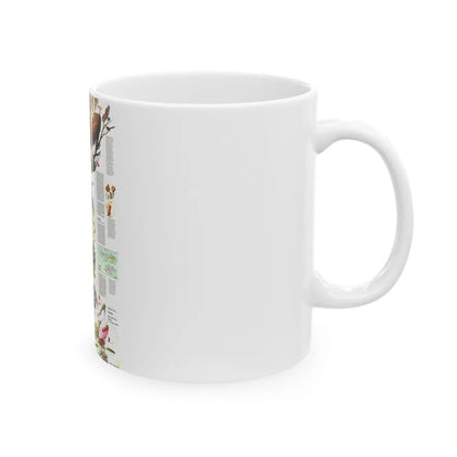 USA - Florida 2 (1973) (Map) White Coffee Mug-Go Mug Yourself