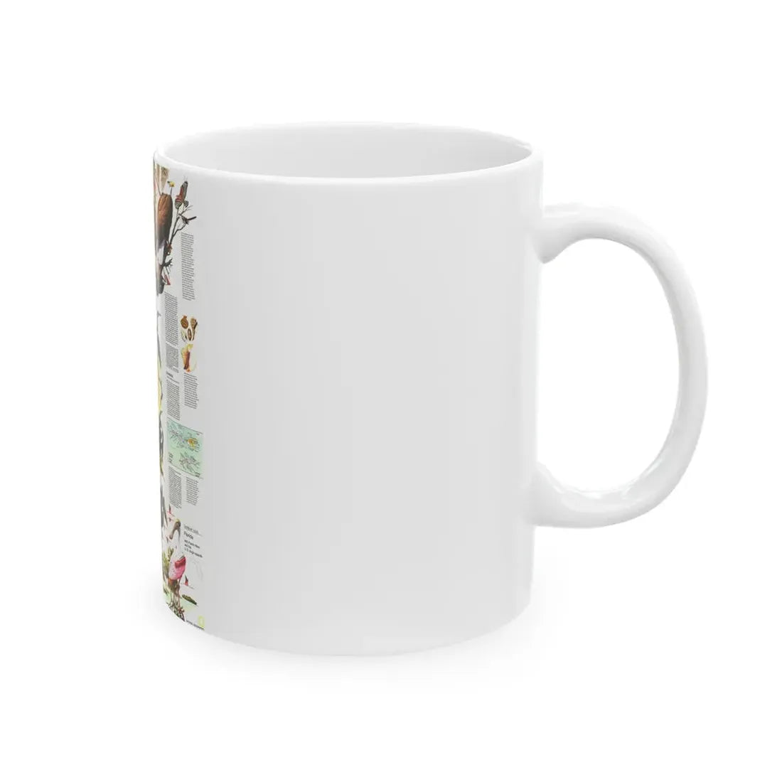 USA - Florida 2 (1973) (Map) White Coffee Mug - Go Mug Yourself