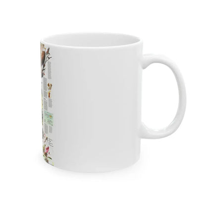 USA - Florida 2 (1973) (Map) White Coffee Mug - Go Mug Yourself