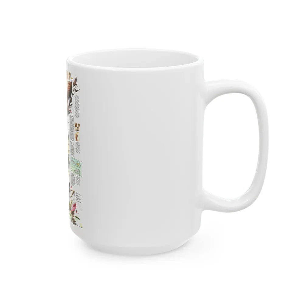 USA - Florida 2 (1973) (Map) White Coffee Mug-Go Mug Yourself