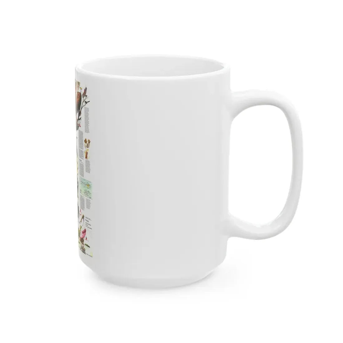 USA - Florida 2 (1973) (Map) White Coffee Mug - Go Mug Yourself