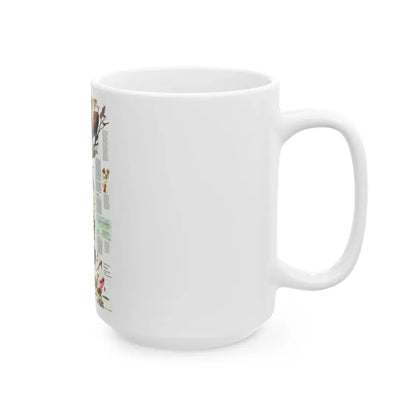 USA - Florida 2 (1973) (Map) White Coffee Mug - Go Mug Yourself