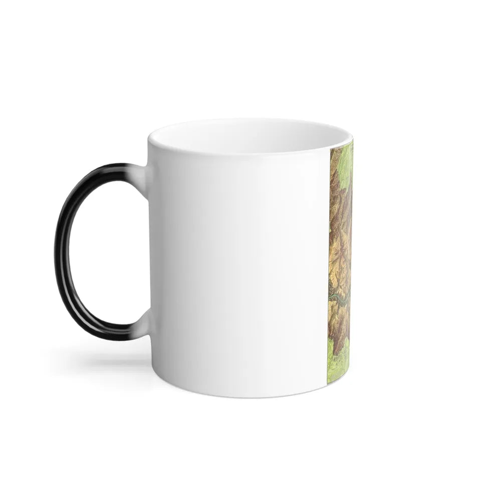 USA - Grand Canyon National Park, Arizona (1978) (Map) Color Changing Mug 11oz-Go Mug Yourself