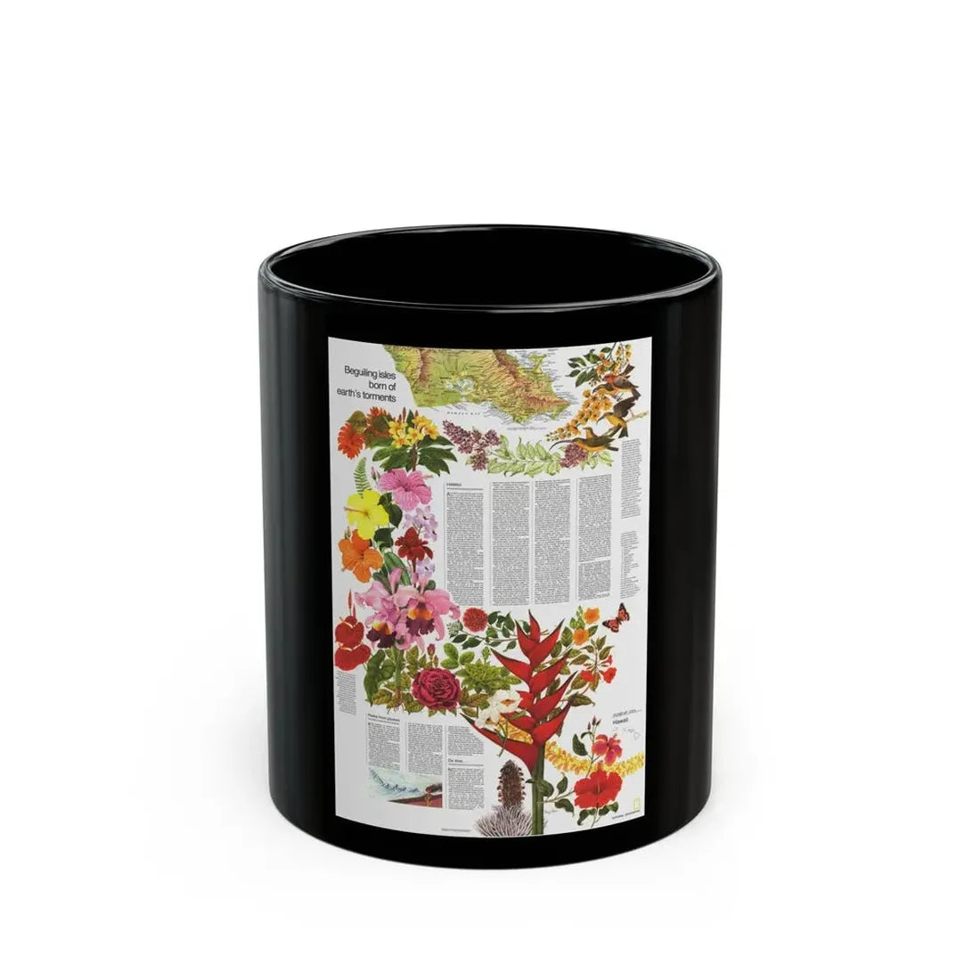 USA - Hawaii, Beguiling Isles (1976) (Map) Black Coffee Mug 11oz - Go Mug Yourself