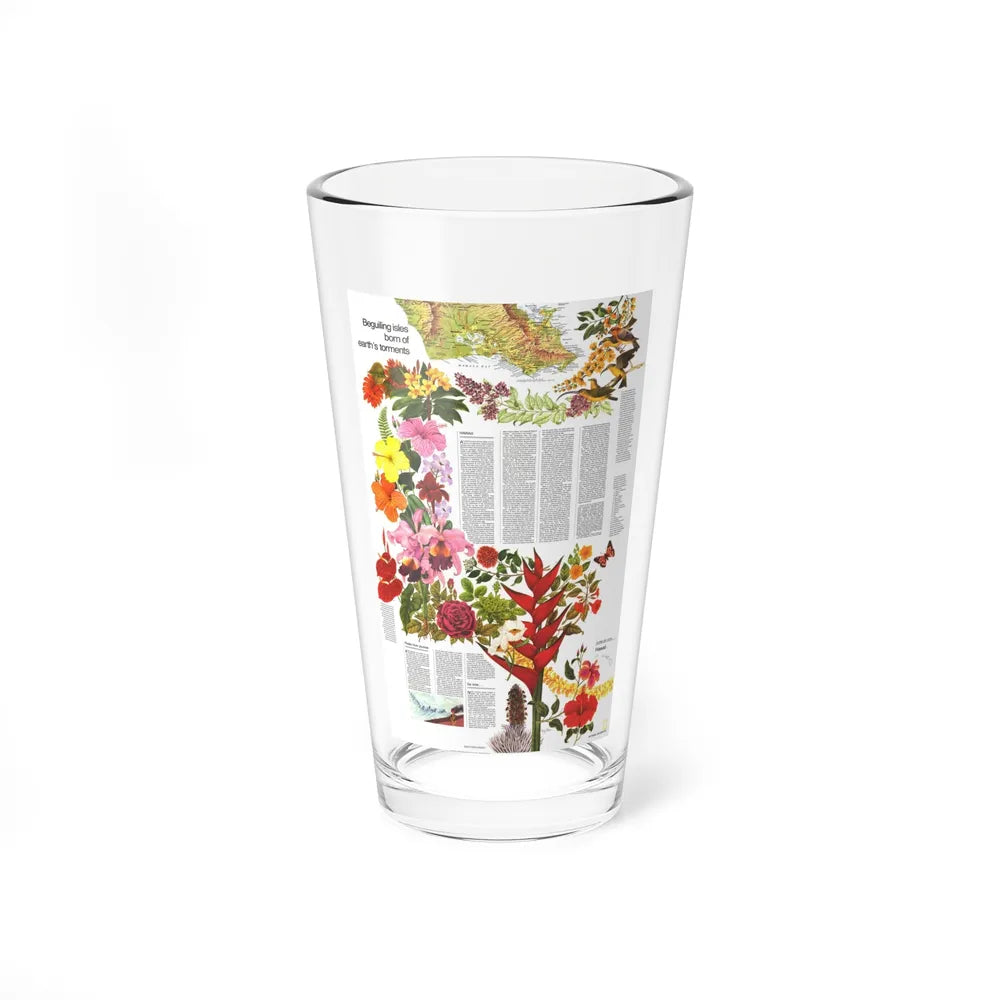 USA - Hawaii, Beguiling Isles (1976) (Map) Pint Glass 16oz-16oz-Go Mug Yourself