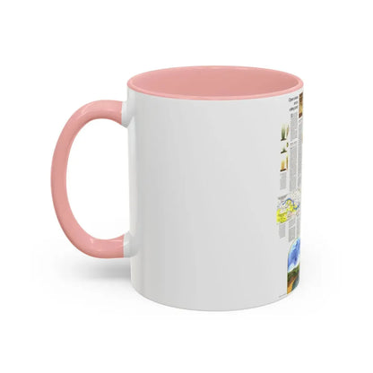 USA - North Central States 2 (1974) (Map) Accent Coffee Mug - Go Mug Yourself