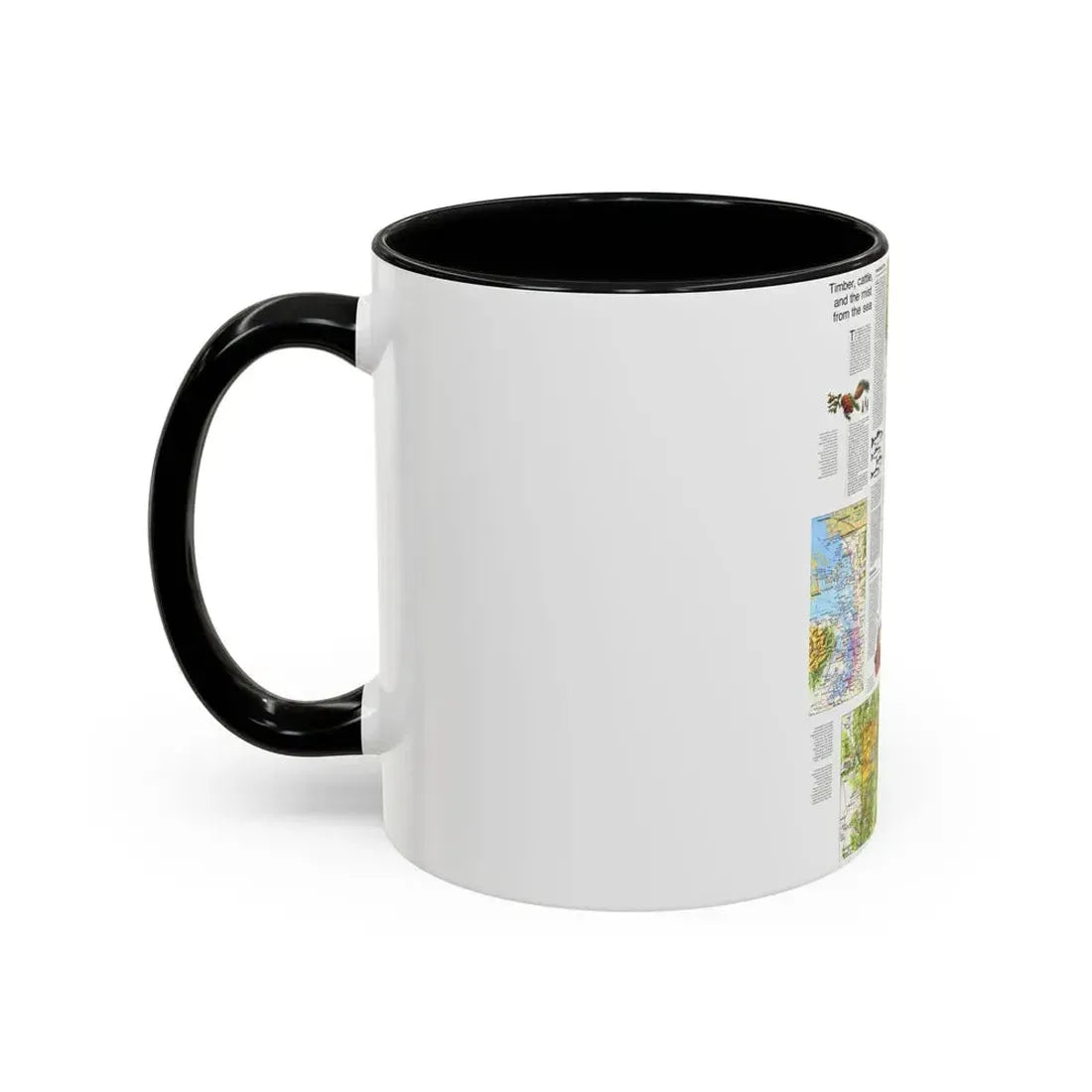 USA - Northwest 2 (1973) (Map) Accent Coffee Mug - Go Mug Yourself