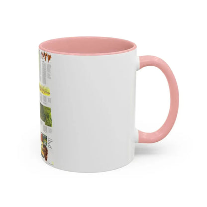 USA - Northwest 2 (1973) (Map) Accent Coffee Mug - Go Mug Yourself