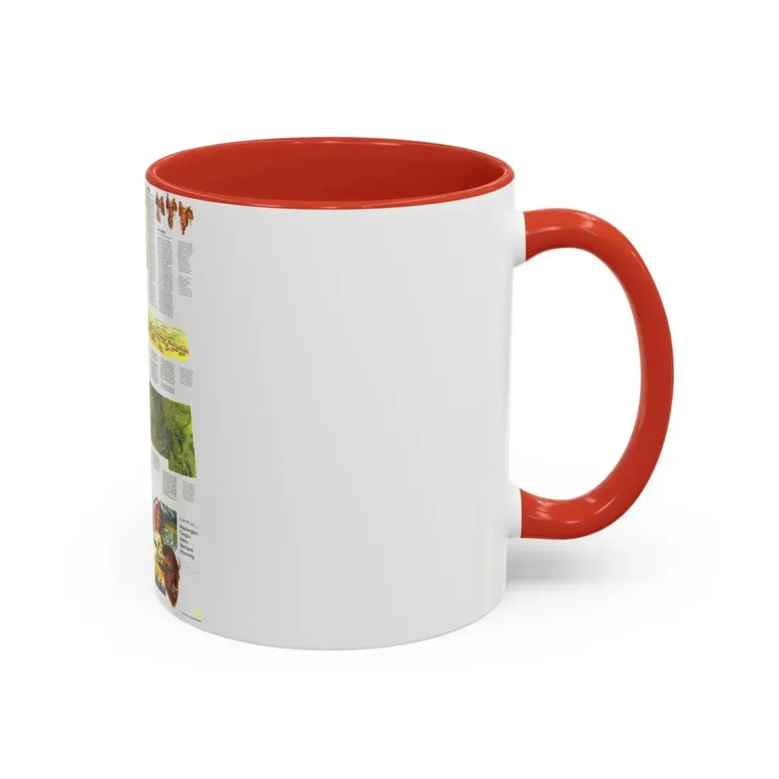 USA - Northwest 2 (1973) (Map) Accent Coffee Mug - Go Mug Yourself