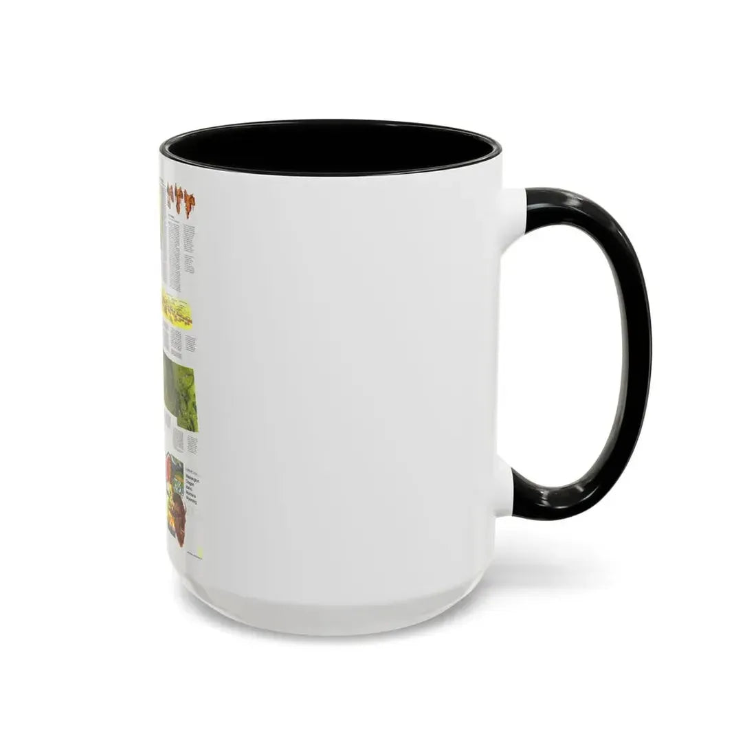 USA - Northwest 2 (1973) (Map) Accent Coffee Mug - Go Mug Yourself