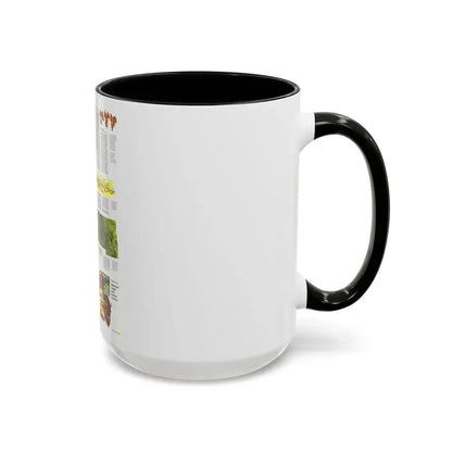 USA - Northwest 2 (1973) (Map) Accent Coffee Mug - Go Mug Yourself