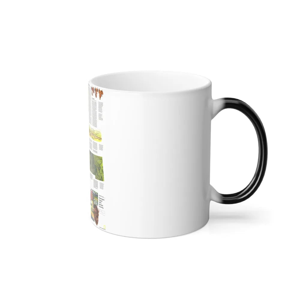 USA - Northwest 2 (1973) (Map) Color Changing Mug 11oz-Go Mug Yourself